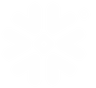 Snowflake Logo